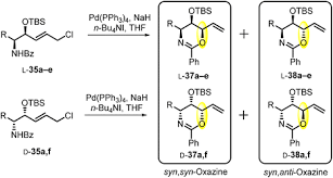 Image result for Angylocalyx boutiqueanus