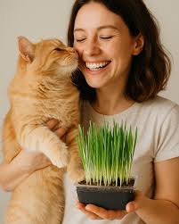 🎉 We're growing! 🌱 Our live organic cat grass is now available at the Pet  Shop