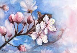 Among all the digital cherry blossom painting tutorials, this one is by far the simplest. Cherry Blossoms Painting By Olga Shvartsur