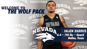 University of nevada, reno | unr · department of psychology. Harris Signs To Play For Wolf Pack University Of Nevada Athletics