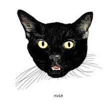 997pixels x 878pixels size : 18 Ide Kucing Hitam Terbaik Kucing Hitam Kucing Hitam