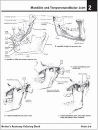 Netter 039 S Anatomy Coloring Book Fresh Netter S Anatomy Coloring Book Pdf Free Download Dir In 2020 Anatomy Coloring Book Animal Coloring Books Manga Coloring Book