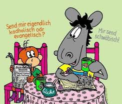 Gefallt 476 Mal 7 Kommentare Pferdle Affle Club Pferdleundaeffleclub Auf Instagram Jetzt Wissen Wir Bescheid Schwaben Sc In 2020 Funny Comics Humor