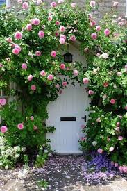 Via Pin By T H E F U L L E R V I E W On G A R D E N S Pinterest Climbing Roses Cottage Garden Flower Garden