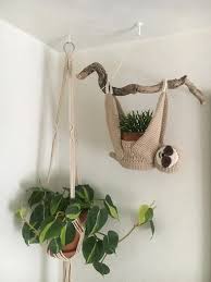Home collection crochet plant hanger crochet free patterns. Hanging Sloth Planter D Houseplants Crochet Sloth Crochet Plant Hanger Crochet Plant