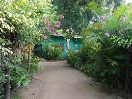 34 af 145 b&b / kroer i sigiriya og med bedømmelsen 3,5 af 5 på tripadvisor. La Guesthouse Picture Of Flower Inn Sigiriya Tripadvisor