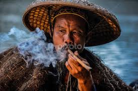 Stock Image Search Results