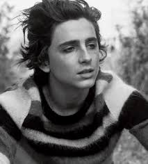 He was the first and only child of his parents, where his father george dicaprio was a comic book distributor and artist, and his mother irmelin was a german and worked as a legal secretary. Is Timothee Chalamet The New Leonardo Dicaprio Interview Magazine