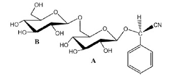 A clinical trial in the late 1970s supported by the national cancer. Chemical Structure Of Amygdalin Download Scientific Diagram
