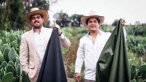 Each of these adaptations allow the plant to collect and store water more efficiently in an environment where water is scarce. Two Mexican Entrepreneurs Just Created Leather Out Of Cactus Leaves