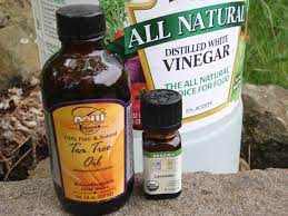 So without further ado, here are some tried and tested methods for repelling mosquitoes without dousing yourself in chemical sprays and lotions. 8 Natural Ways To Repel Insects Without Bug Spray