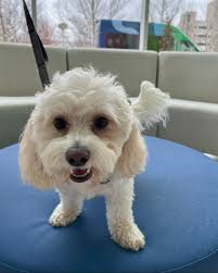 Nationwide Children's...