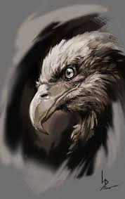 58 New Ideas Drawing Animals Birds Design Reference Eagle Painting Eagle Artwork Eagle Tattoos