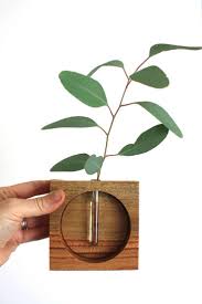 Holzvase Quadratisch Reagenzglasvase Tischvase Vase Aufgearbeitetes Holz Aufgearbeitetes Holzvase Quadratisch Reage Holz Vase Holzvase Diy Vase