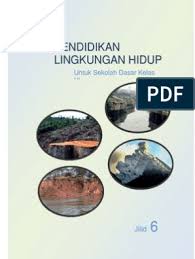 Untuk jenjang sd kelas 1 disiapkan sebanyak 10 buku untuk dua semester. Buku Plh Kelas 6 Sd