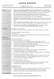 Sample Resume Retail Audit Ppt | Danaya.us