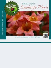 Image result for Dyschoriste transvaalensis