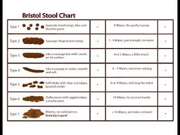 bristol stool chart youtube