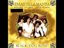 Black dog bone rilex mp3 download at 320kbps high quality. Black Dog Bone Tak Senang Youtube