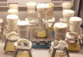 We did not find results for: Optical Biomass Measurements In A Salvia Fruticosa Cell Culture