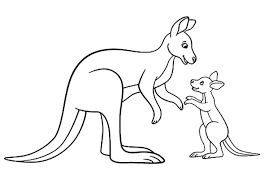 Kangaroos aren't just found in australia. Coloring Pages Kangaroo Drawing For Kids Novocom Top