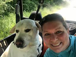 Horse and Buggy ❤️ Love