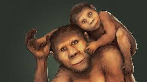 Neandertaler vermischte sich mit anderer menschenart. Frauen Mit Neandertaler Gen Bringen Mehr Kinder Zur Welt Nachricht Archaologie Online