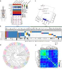 It may grow slowly and it's typically treatable. Evaluation Of A Single Metastasis In Metastatic Prostate Cancer Esmo