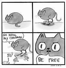 23 Purrrfect Cat Memes Comics To Celebrate National Cat Day Funny Comics Funny Memes Cat Memes