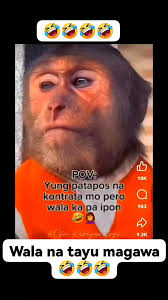 Saan na kaya yun😂😂😂