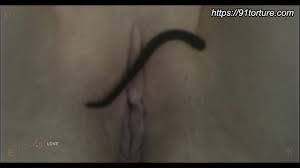 Insex - Leeches - EPORNER