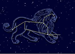 Image result for leo constellation