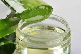 Assalamualaikum sahabat ku semua nak di kongsikan bersama tentang. 5 Rekomendasi Aloe Vera Gel Yang Kaya Manfaat Rugi Kalo Gak Punya