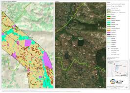 Image result for Blepharispermum pubescens