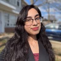 80+ "Renderos" profiles