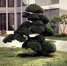 Niwaki Garden Bonsai Trimming Beforeandafter Plants Ilex Berlin Potsdamerplatz Backyard Bonsai Garden Bonsai Tree Bonsai