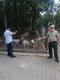 Hayvan Barinaklari Denetlendi