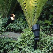 Pin On Garden
