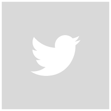 Image result for twitter logo black