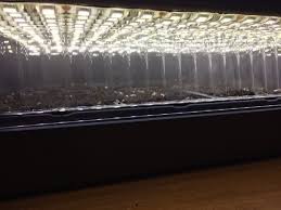 Maybe you would like to learn more about one of these? 25 Diy Led Strip Grow Light Led Strips Diy Led Diy Grow Lights Diy