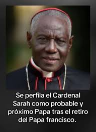 Sería el sucesor del Papa Francisco.