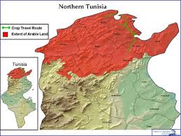 In addition, exports to countries within caricom do not attract the common external tariff, which gives guyana's exports an advantage over those imported from the world market. Tunisiacroptravel2010