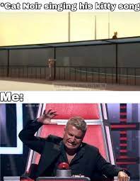 Little Kitty On A Roof All Alone Without His Lady Miraculous Ladybug Memes Miraculous Ladybug Movie Miraculous Ladybug Fanfiction