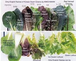 We love korean food at . Kimchimari Ssam ìŒˆ Korean Lettuce Wraps Pair Facebook