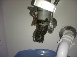 Drain the water while the disposal is running. if you don't have a disposal, just pour the water right in. How To Clean Years Of Accumulated Gunk From Kitchen Sink Piping Terry Love Plumbing Advice Remodel Diy Professional Forum
