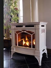 Free Standing Ventless Propane Fireplace With Images Propane Fireplace