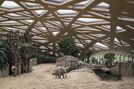 review elephant house zurich zoo markus schietsch architekten gmbh zoo architecture zoo zoo crafts