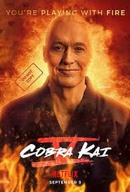 COBRA KAI SEASON 5 TERRY SILVER MOVIE POSTER #2 FREE SHIPPING