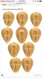 The labia majora (outer lips) and labia minora (the inner lips) can be pierced. 21 Piercing Ideas Nausnice Usny Piercing Akupunktura