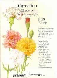 Check spelling or type a new query. January Flower Of The Month Building Bridges